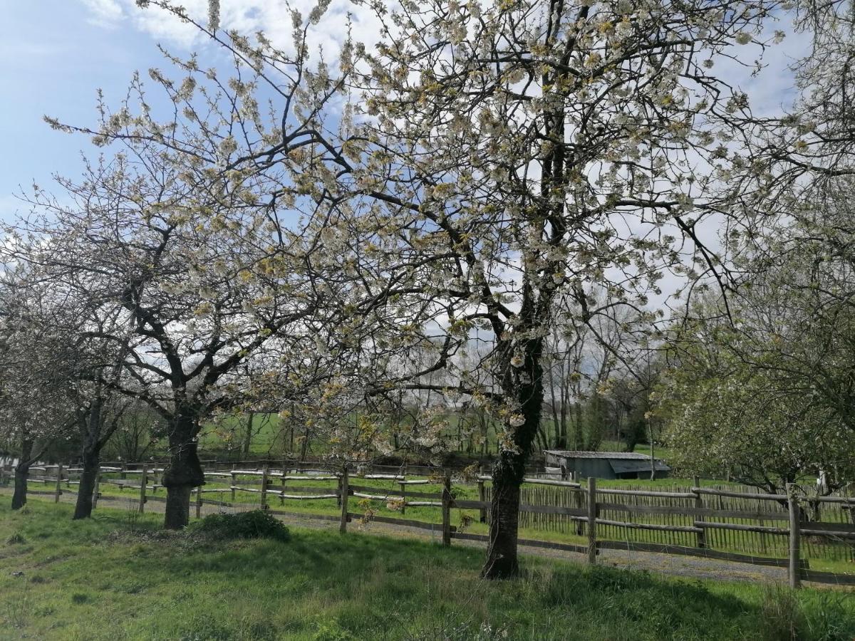 Les Petites Rives De La Motte Villa Pleugueneuc Luaran gambar